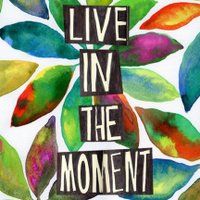 Caitlin Lalia (@clalia712) 's Twitter Profile