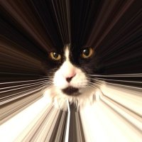 Suzannah Banana 🌻 (@suzanne14344621) 's Twitter Profile Photo