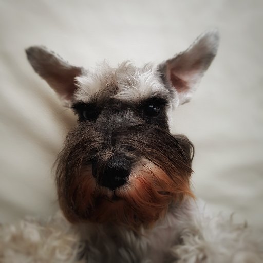 crypto stuff Profile