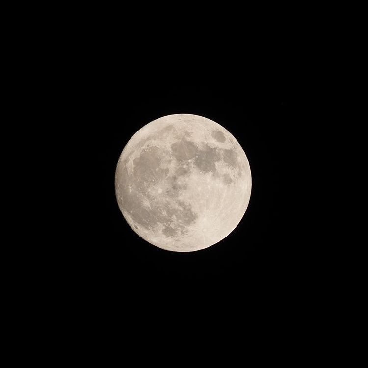 2015aoi0330nagi's profile picture. 京都⇆東京