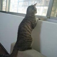 MZD (@oopsmzd) 's Twitter Profile