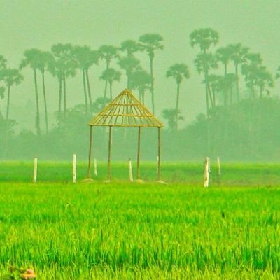 DileepNekkanti1's profile picture. 