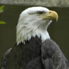 sherifhamam1's profile picture. انا اخصائي نظم المعلومات و بحث تقنية اهتم بكل ما هو جديد في عالم تكنولوجيا المعلومات نتناول يوميات مواضيع مرتبطة بجديد البرامج و التطبيق و شروحات قصد إفادة جميع