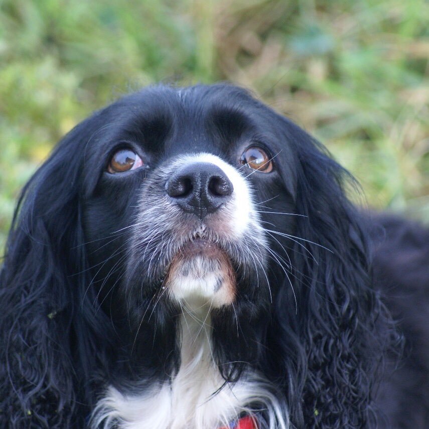 edwin_GG's profile picture. Riosuceño de Corazón, Carnavalero por convicción, Economista por descarte, Romántico por error