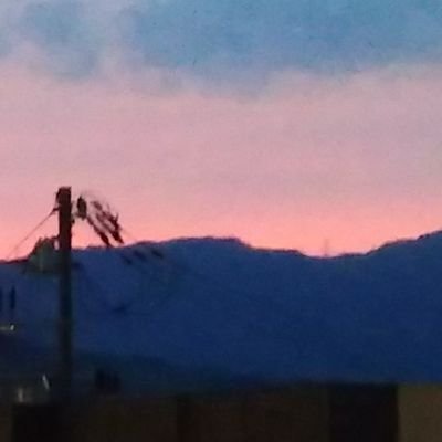 szkcrz's profile picture. 愛だけがそこにある