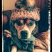 SueJ (@joz_susan) Twitter profile photo SueJ (@joz_susan) Twitter profile photo