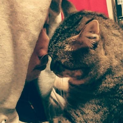 da_igo0104a's profile picture. YouTube https://t.co/9daYgGWEtC チャンネル登録よろしくね♪