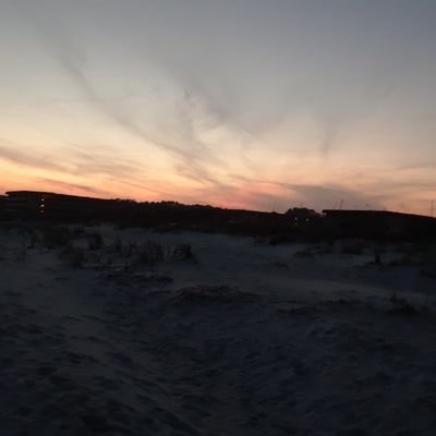 SouthernGrandm2's profile picture. Conservative Christian Southern lady. Supports our military, police and first responders. Wife, mother and grandmother. Loves USC GAMECOCKS #MAGA #TrumpTrain