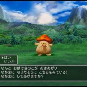 ぬこがみさんのプロフィール画像