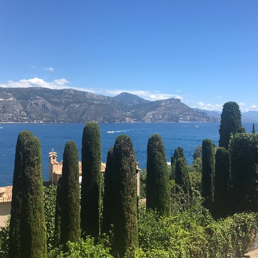 amopics's profile picture. 