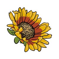 The Texas Wildflower(@WildflowerTxMag) 's Twitter Profile Photo
