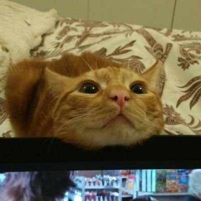 VBorras's profile picture. 