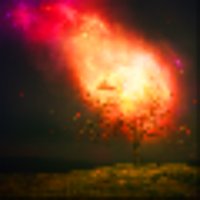 The Fire Tree(@FireTreeStory) 's Twitter Profile Photo