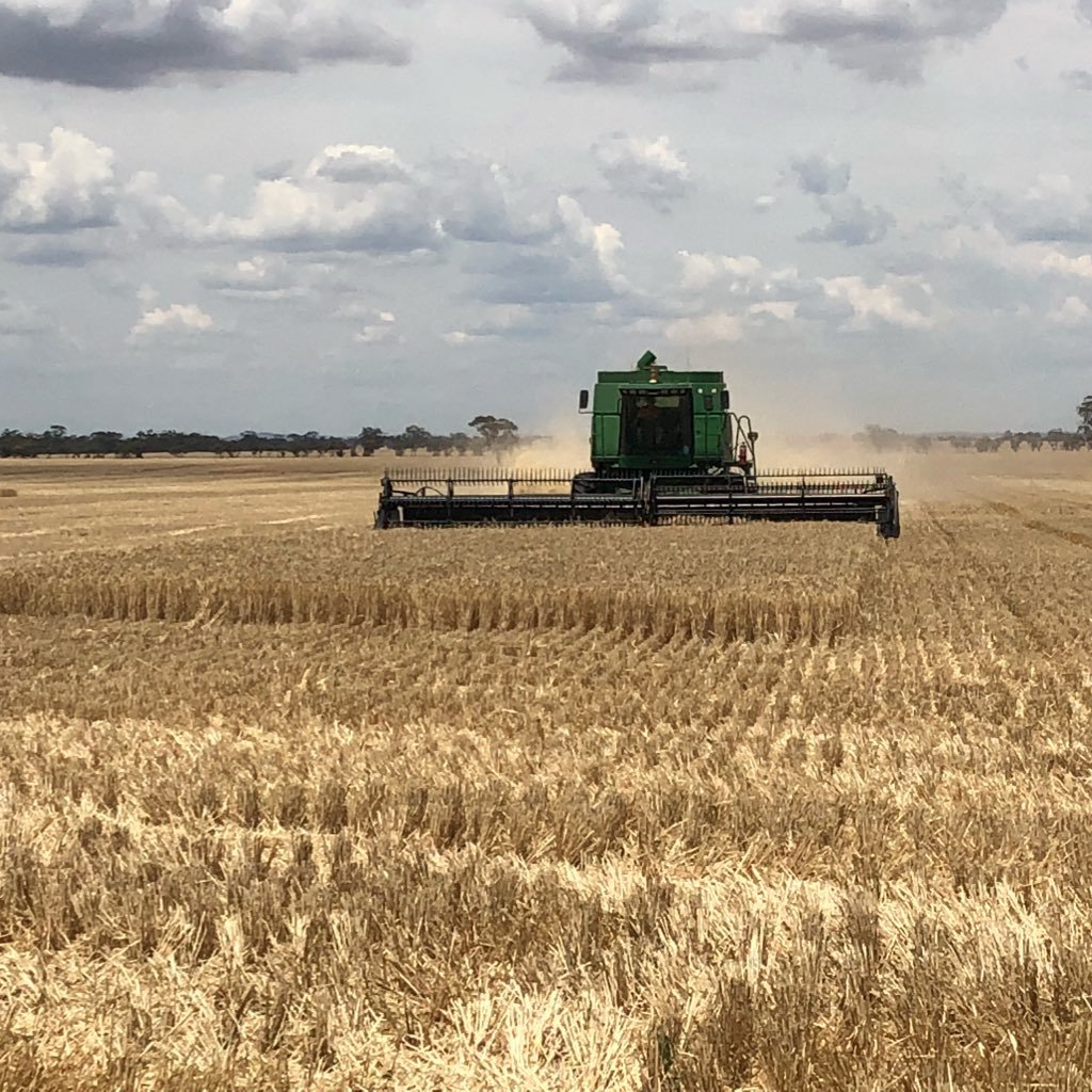 Cropping farmer, dryland and irrigation. Studied ag science, back on farm. Always looking to learn more. Boort, Victoria, Australia