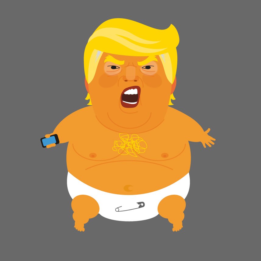 Trump Baby Profile