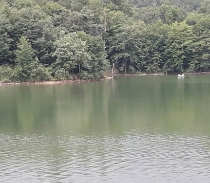 Ali_za0's profile picture. براندازم