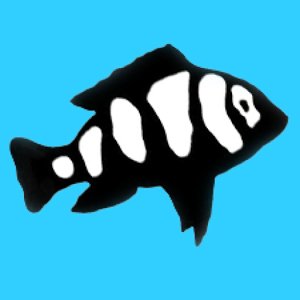 aquariumfishnet Profile Picture