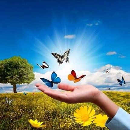 luciamontesin17's profile picture. 