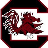 We're a group of @UofSC_CEC students and friends taking on the @RobotIn3Days challenge. Follow along!