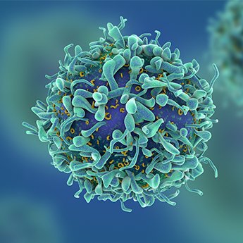 NetworkGene provides novel genomic insights on genes/biomarkers of interest to aid clinical research. #networkgene