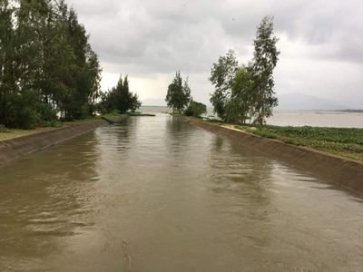 btvn2017's profile picture. Mr.Khoa sinh ra và lớn lên tại Bình Định