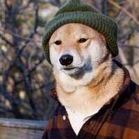 Fvoltage (@fendsvoltage) 's Twitter Profile