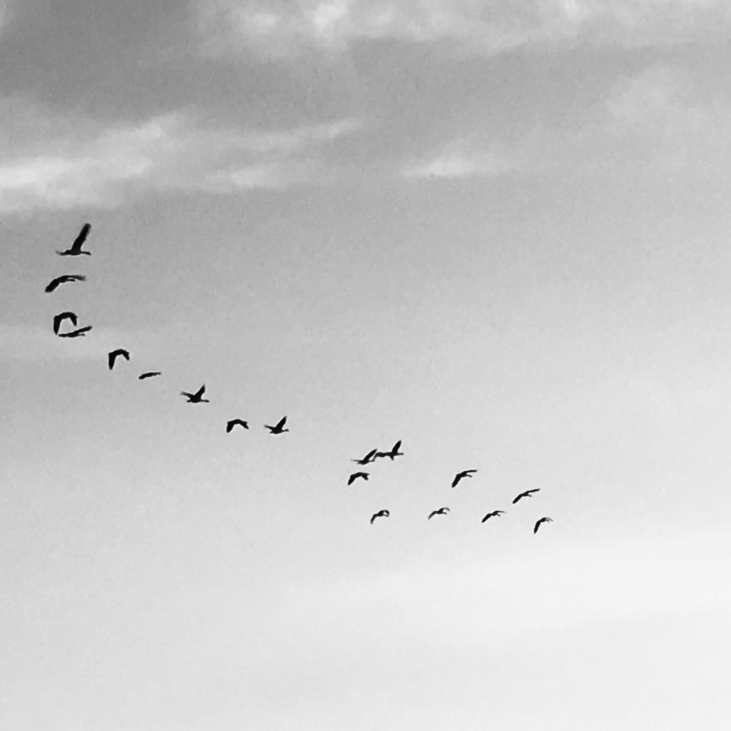RobinRico1's profile picture. #LGTBQ #runner #photographer #artist #emailmarketing