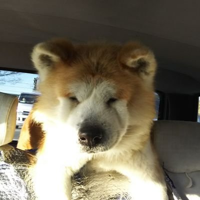 UnbJlhu3U9Vcdno's profile picture. サバゲー、ラジコン、サーキット走行、登山など色々やってます。
