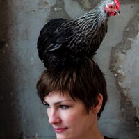 marije vogelzang (@marijevogelzang) 's Twitter Profile