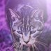 Dafanie (@dafanielee) Twitter profile photo Dafanie (@dafanielee) Twitter profile photo