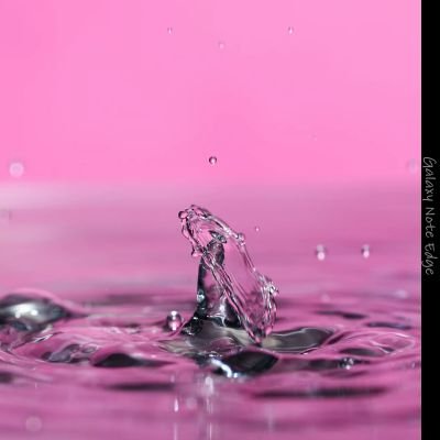 204sq402sq's profile picture. 気ままに撮った写真を載せてるアカウントです。

使用するカメラはこだわらず、スマートフォンだったりデジタル一眼レフだったり…　－(^o^)もしお気に入りがあったら ポチ ってしてもらえると励みになります。～Nikon使いです～