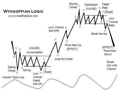 KaarelKaust's profile picture. Learning!