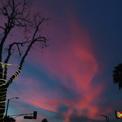 spreadinglove18's profile picture. 🌍💖🌈🌃🦄