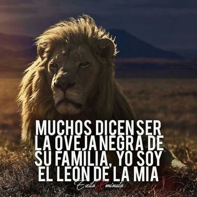 RicardoMinaya6's profile picture. Orgullosamente Regio💯💯 
Patriots Fans 🏈
Incomparable Tigres🐯 
Chevrolet  truck 🚗
Mexicano por Orgullo 🇲🇽✌