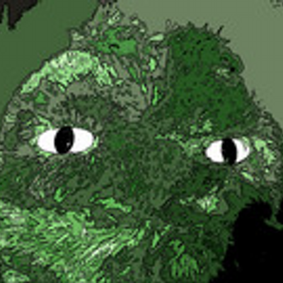 kobayarrin's profile image