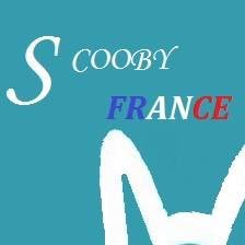 Antenne Française du Refuge Scooby Médina pour le sauvetage de lévriers espagnol #galgos https://t.co/qkss0Sc23I