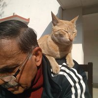 🇮🇳KDixit🇮🇳 (@ydixit1956) 's Twitter Profile