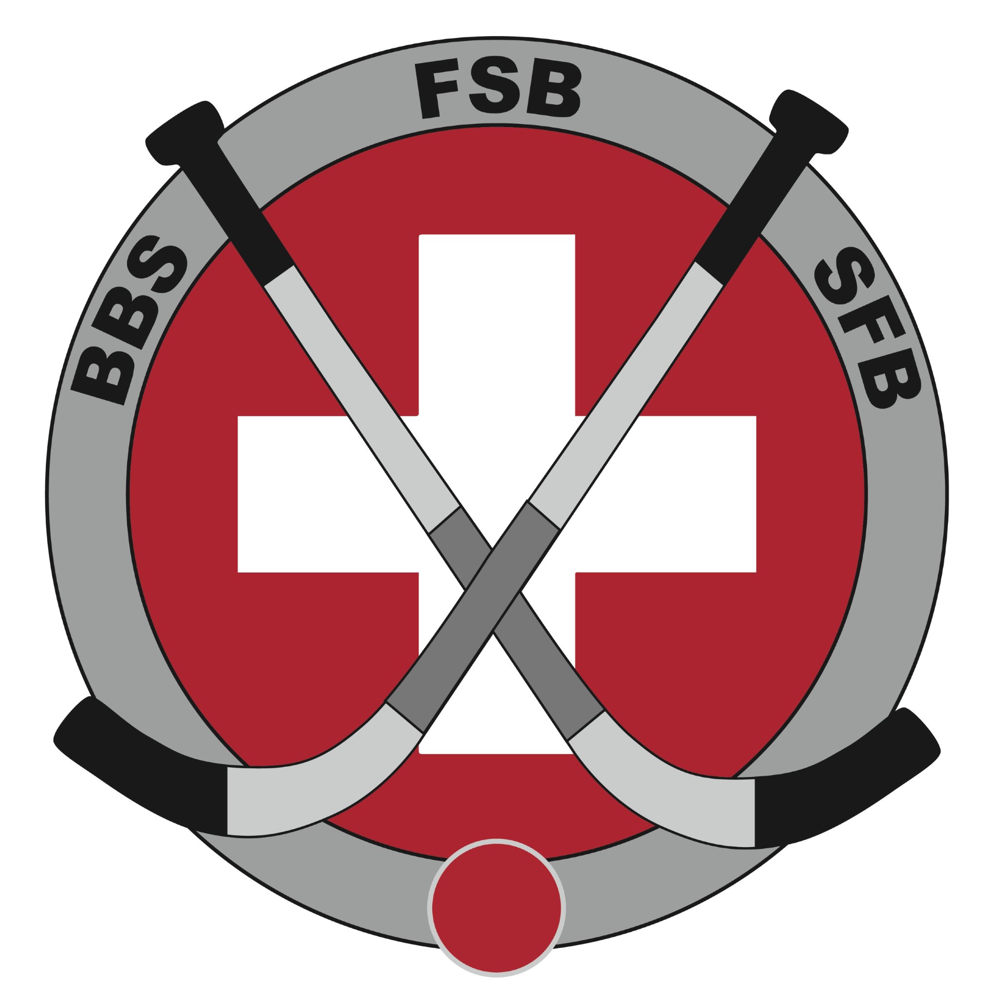 Swiss Bandy