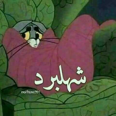 ون تاتش للتنظيفات والصيانة العامه 0508596651