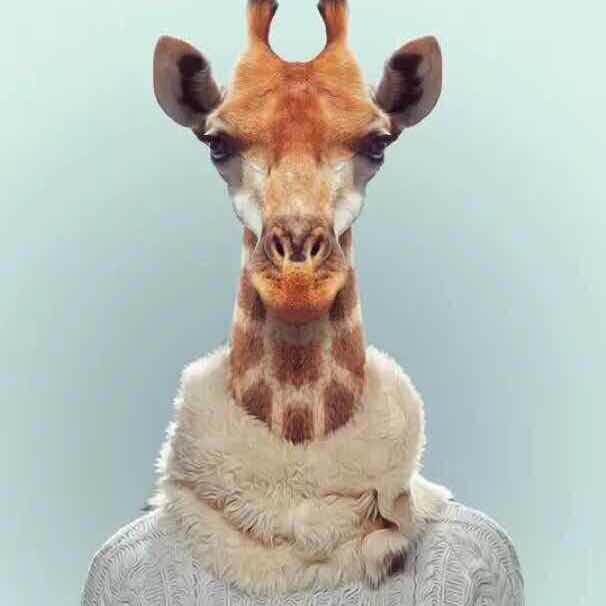 Chardonnay_Yang's profile picture. Rock