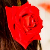 慶子 (@keikoami) 's Twitter Profile Photo 慶子 (@keikoami) 's Twitter Profile Photo