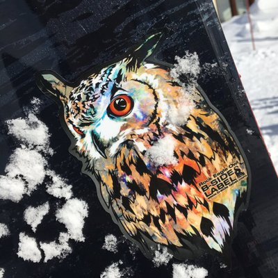 つっくん (@tukkun8810) / Posts / X