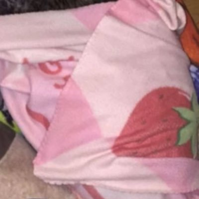 JohnnyP61915725's profile picture. 