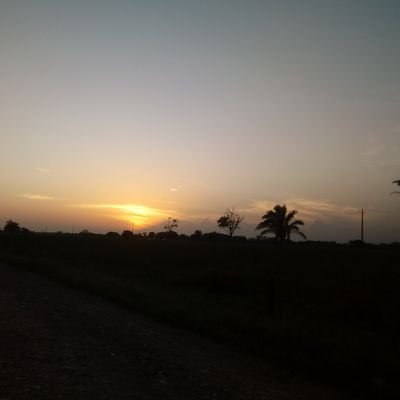 albertoriverabe's profile picture. 