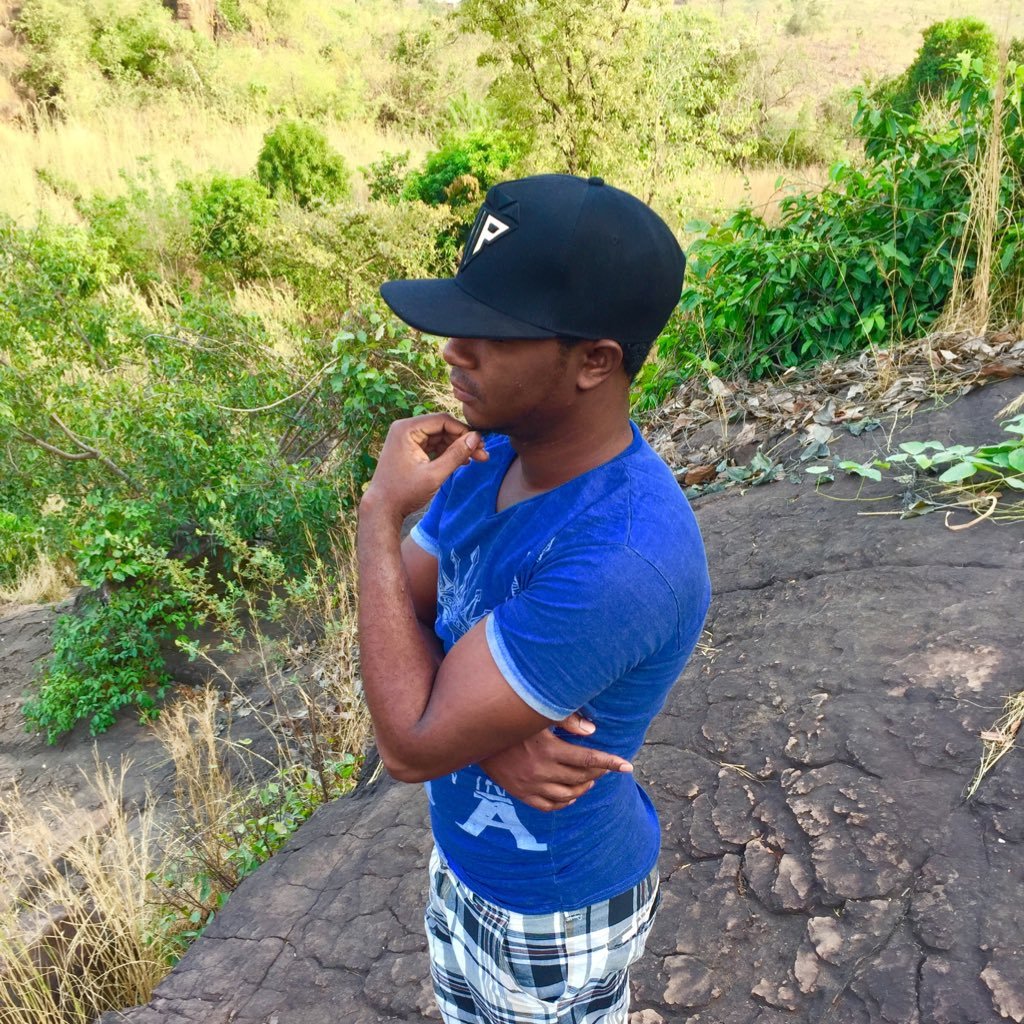 KobalaLama's profile picture. optimism