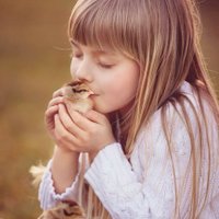 سديم الأمل🌼 (@rawdhat_irbid) 's Twitter Profile