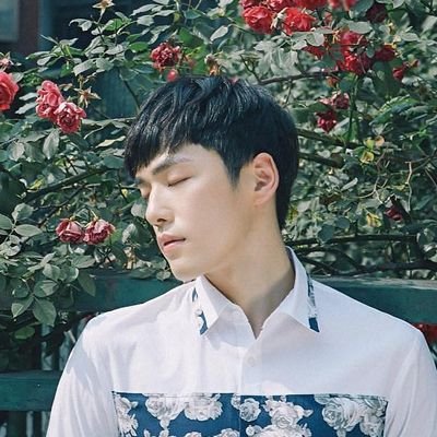 Permutation_BCH's profile picture. 
