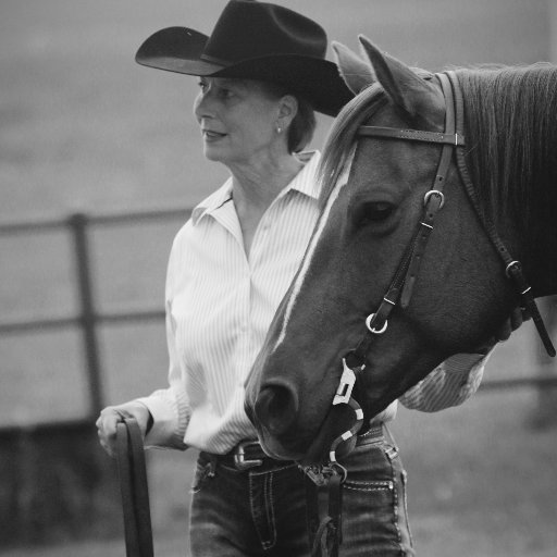 MessnerLaurie's profile picture. 