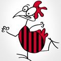 Evasive Chicken 🍒(@evasivechicken) 's Twitter Profile Photo