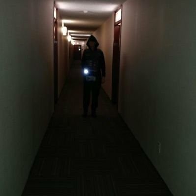 voidsblank's profile picture. The gate where the void starts and ends.
Attention au chien.